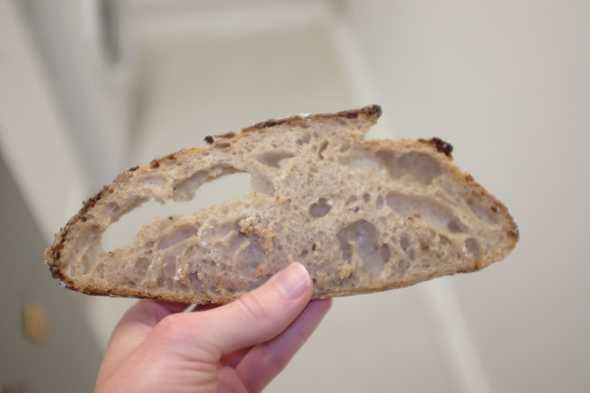 The crumb of the bread