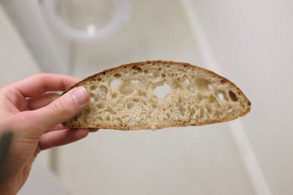 The crumb of the Tartine Country Bread