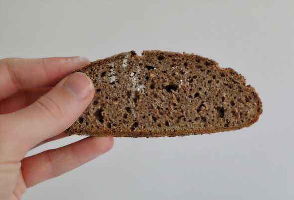 A slice of “accidental Norwegian bread”