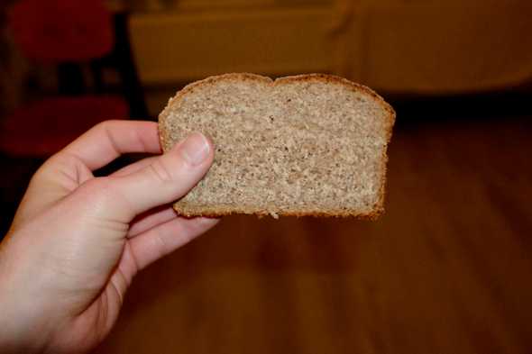 The crumb of the bread