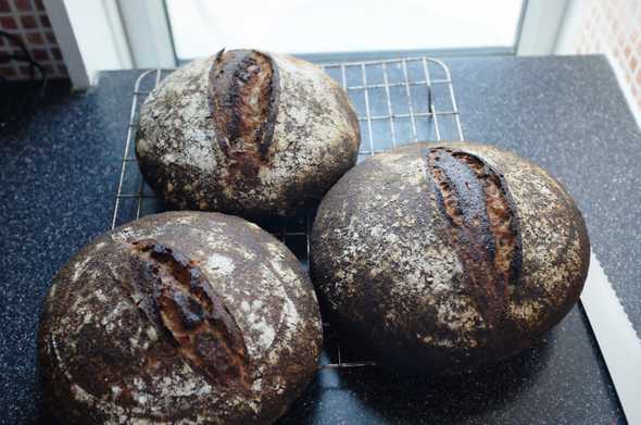 The crust of the “Wholemeal Sourdough with a Splash of Rye” bread