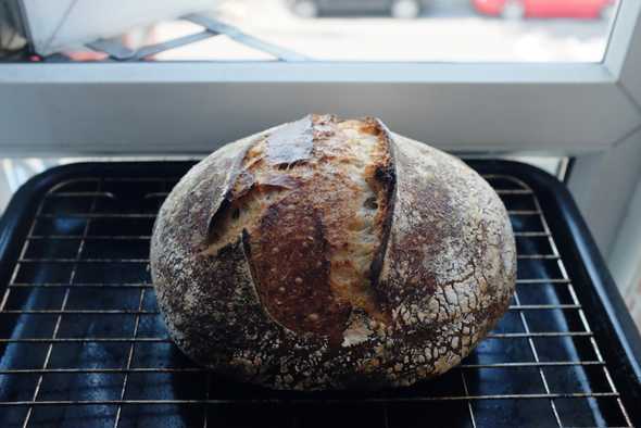 The crust of the Tartine Country Bread