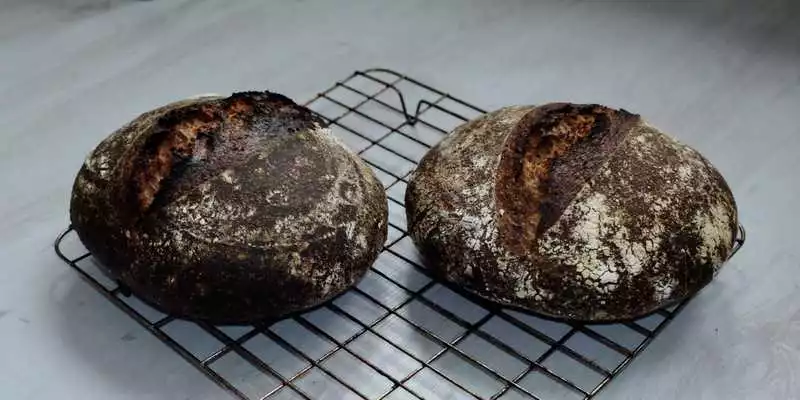 Young(er) Leaven Wholemeal & Rye